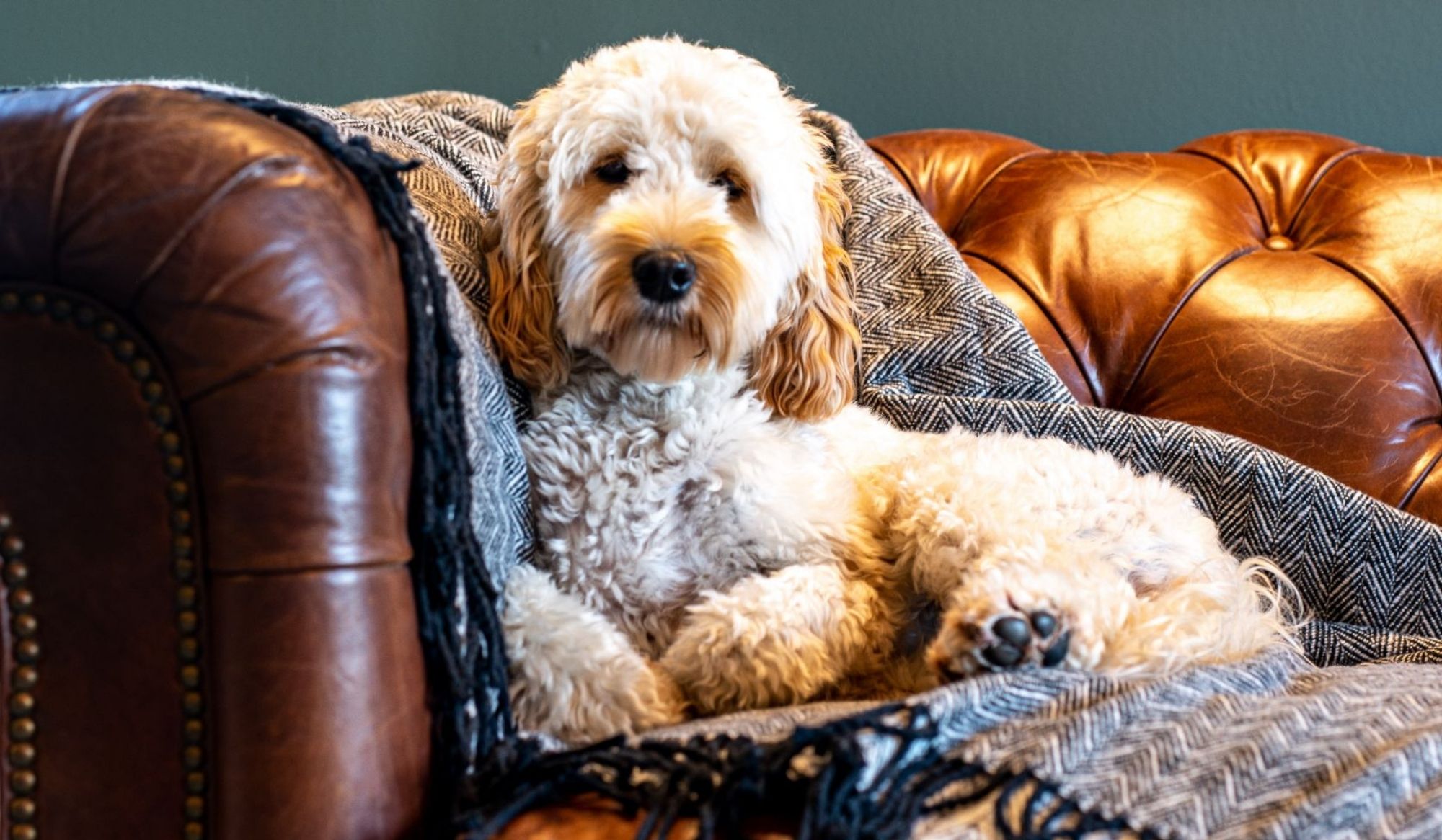 Our Rooms Luxury Edinburgh Hotel Melville Castle