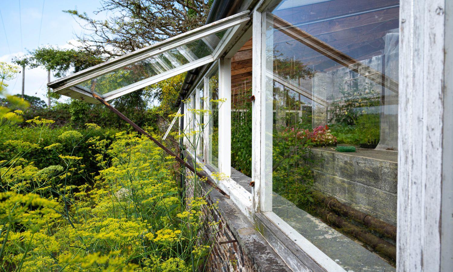 Victorian greenhouse with windows open