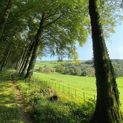Devonshire countryside near Lewtrenchard Manor