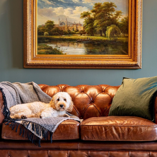 Dog sitting on chair in room at Melville Castle hotel Edinburgh 