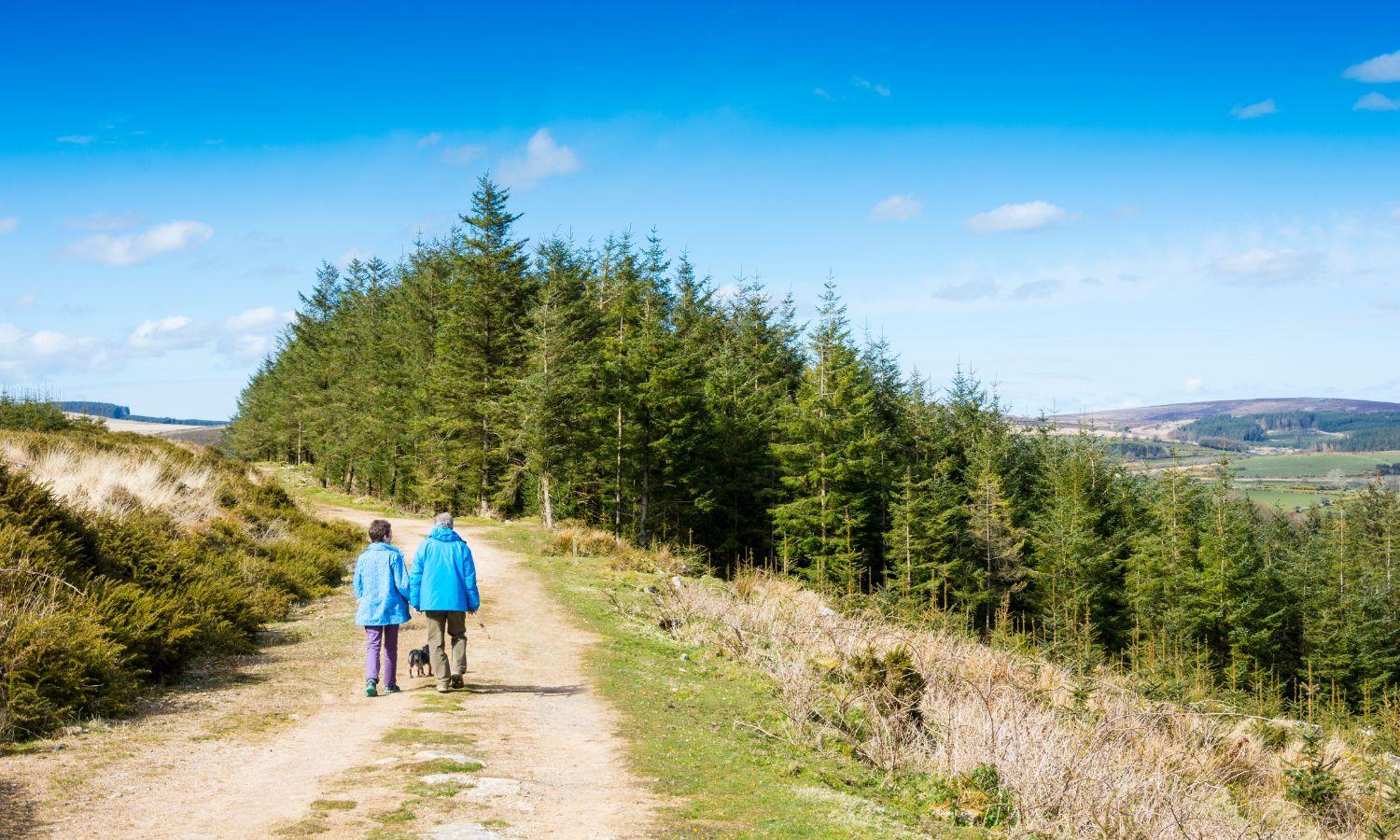 Couple hiking the Dartmoor countryside on a sunny day