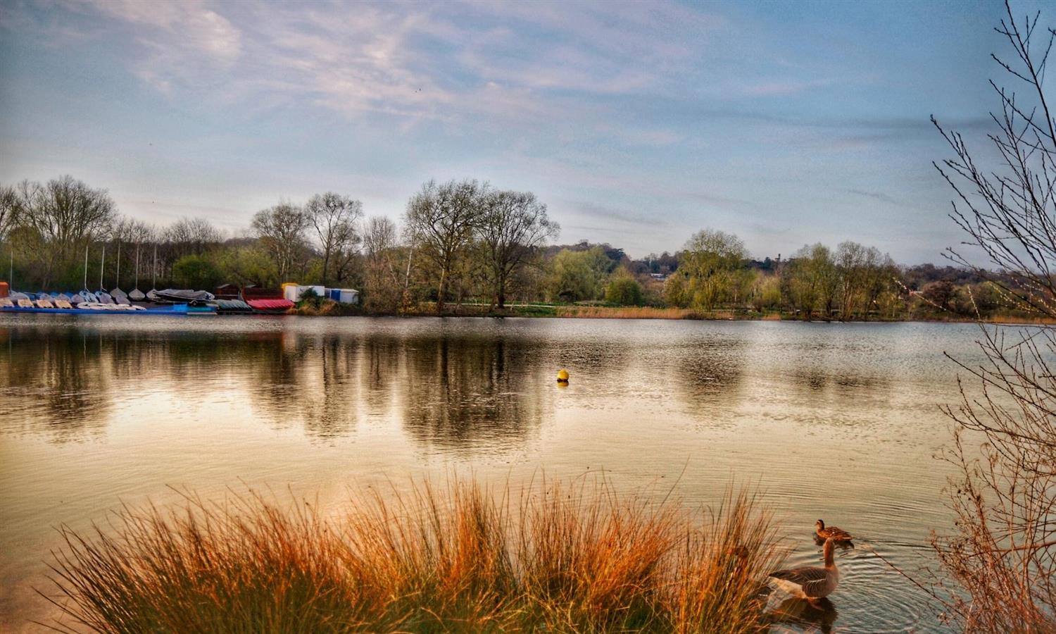 Boats on the Norfolk Broads