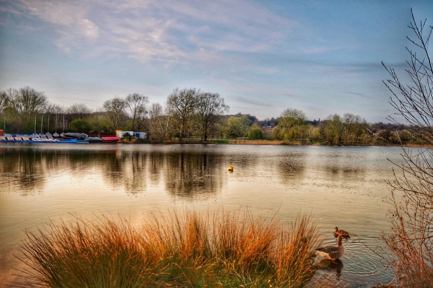 Norfolk Broads with boats 