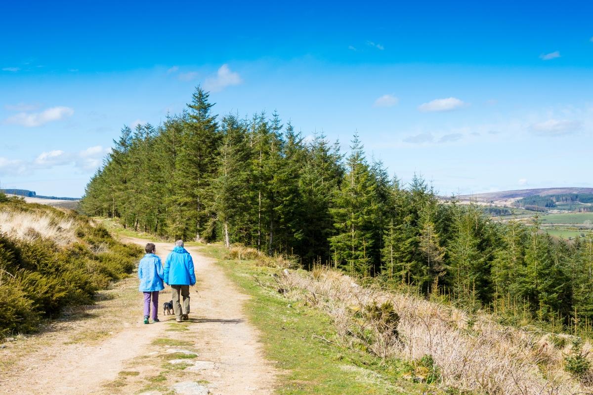 Couple hiking in Dartmoor National Park