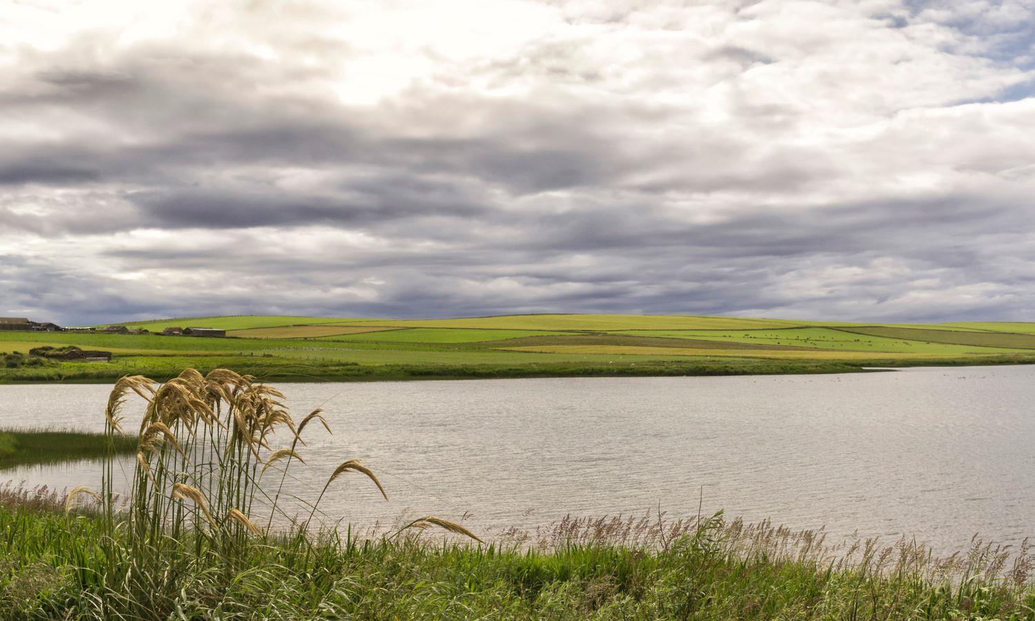 Wetland lake surrounded by green grassland