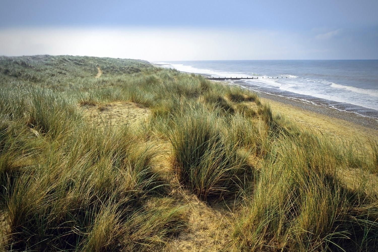 Norfolk coastline and sand dunes