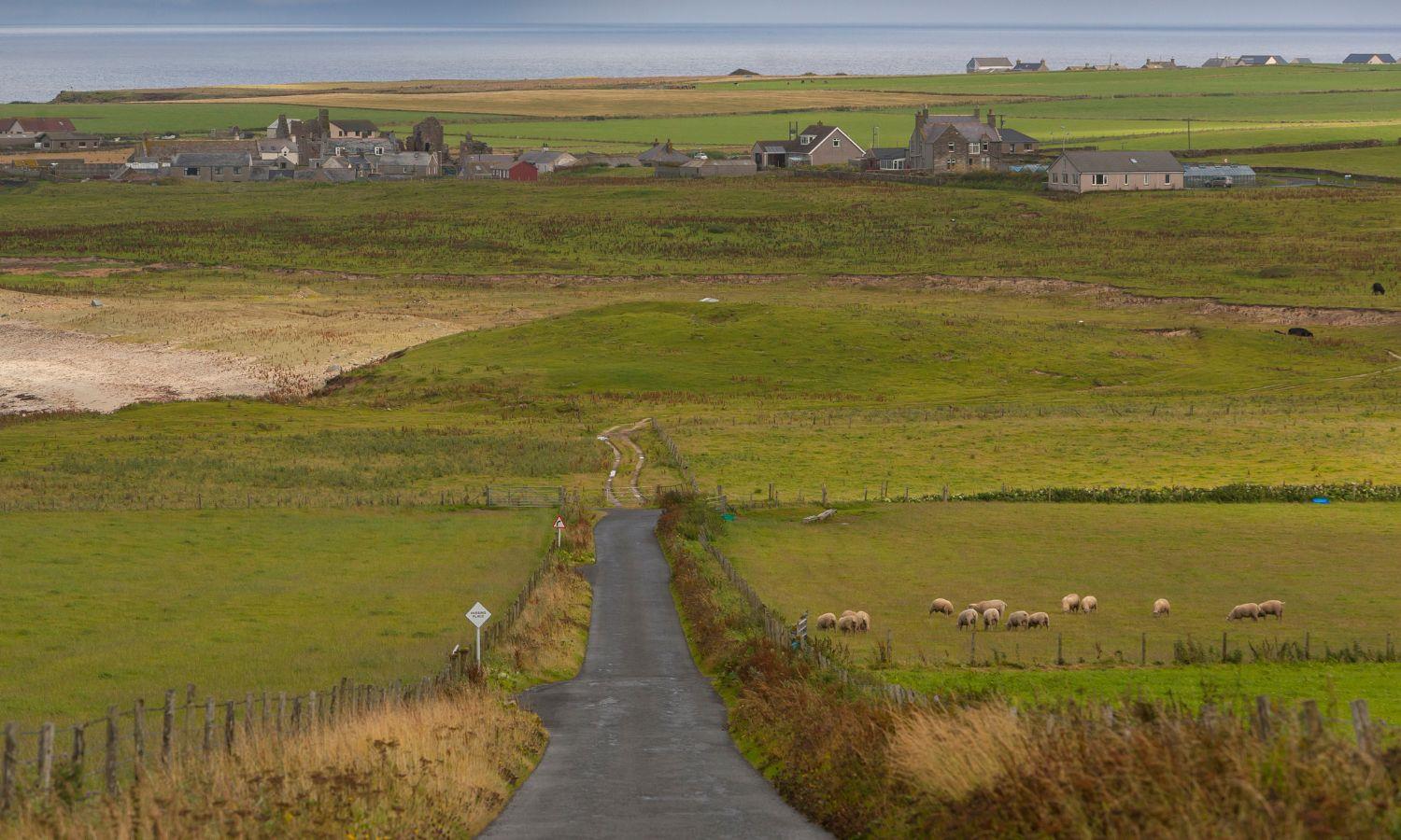 Rural road running towards a village through green fields
