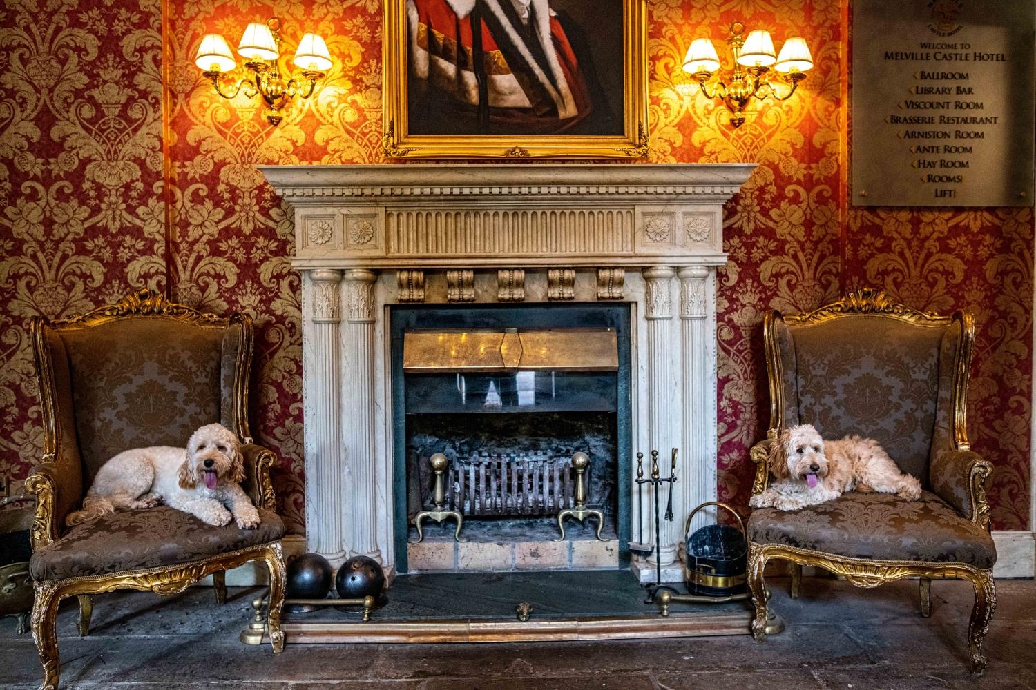 Melville Castle fireplace with two dogs