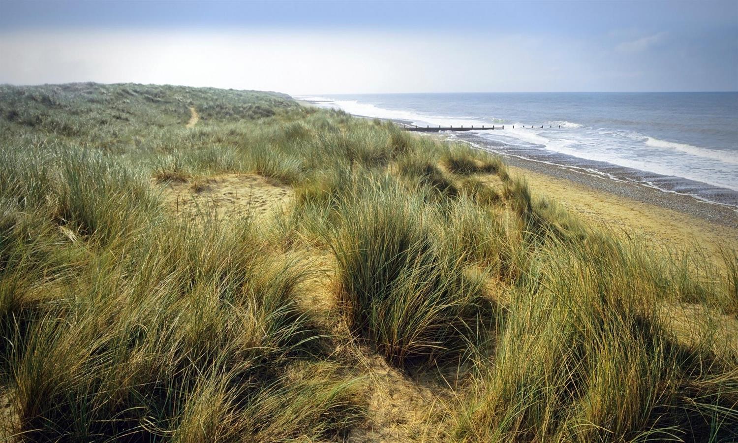 Norfolk coastline with sea a dunes