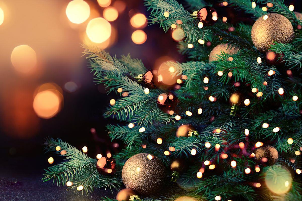 Decorated Christmas tree