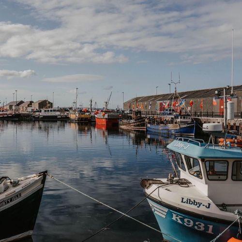 Views of boats in the harbour 
