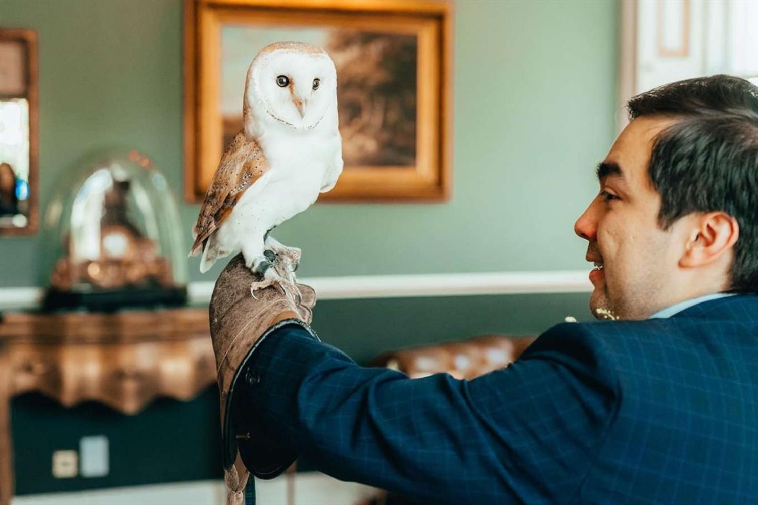 Wedding groom holding an owl on his arm