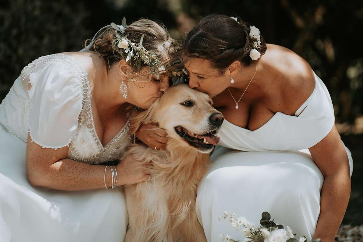 Brides kissing a golden retriever (c) Amber Louise