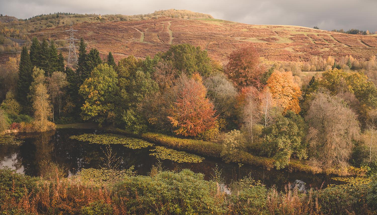 Autumn landscape. Photo Credit: Duncan Ireland Photography