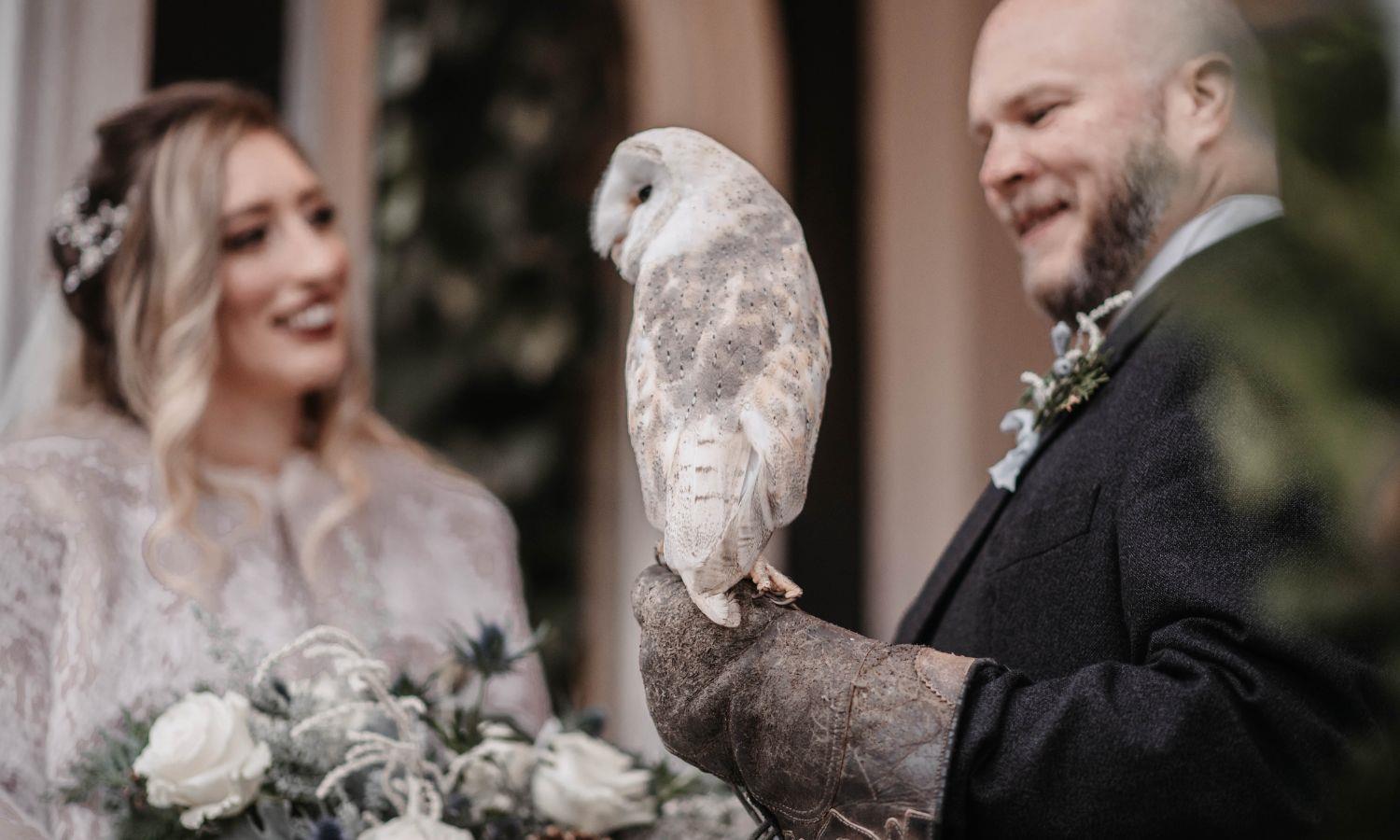 Ring on a Wing moment at wedding as a barn owl is held by groom