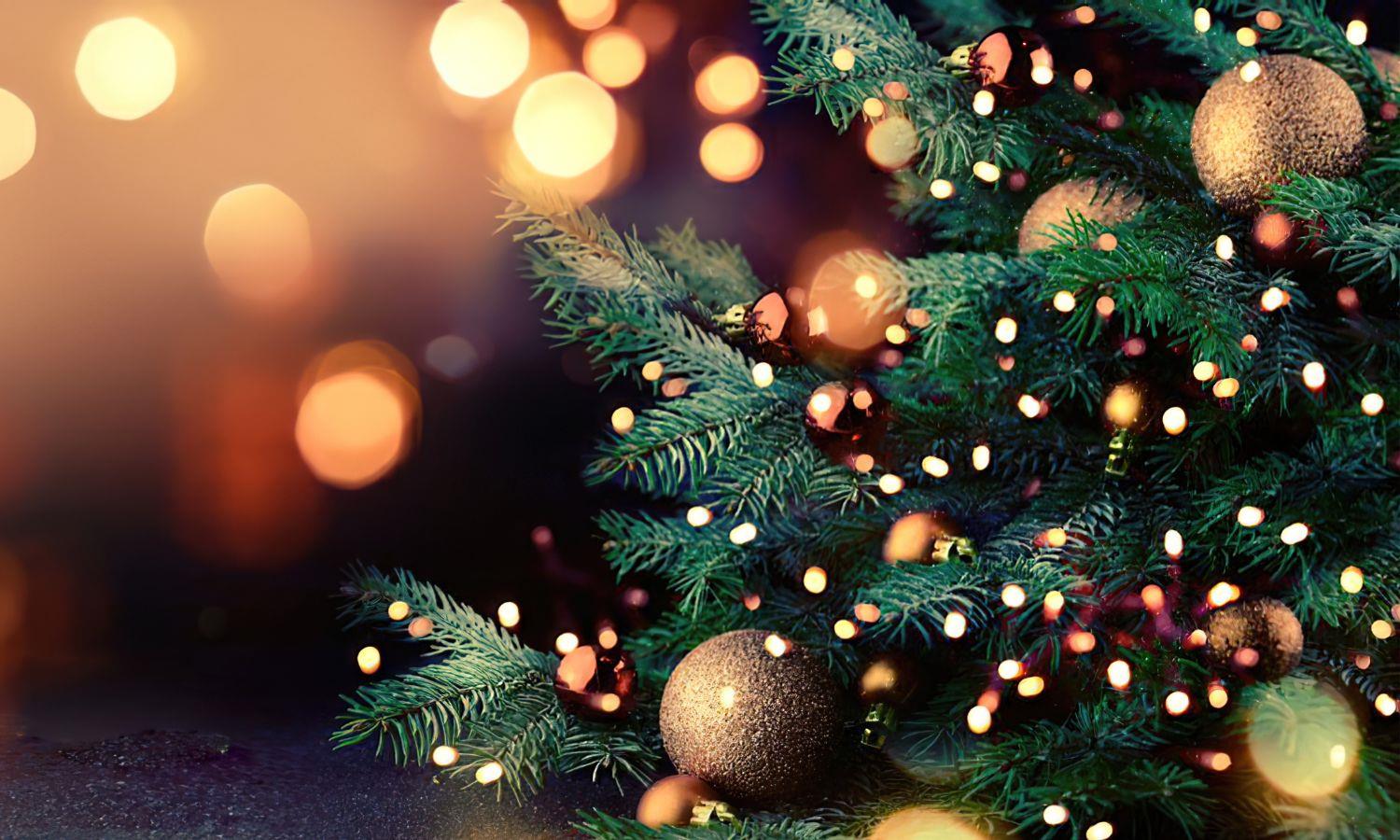 Close up of Christmas tree lights