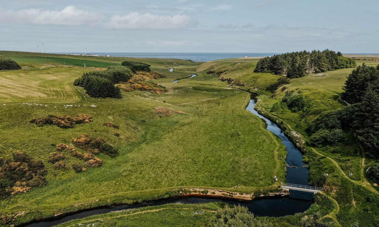 Drone photo of Caithness coastline showing woodland and coastline
