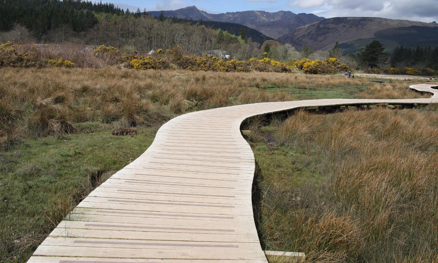 Coastal walkway curving through moorland on Isle of Arran