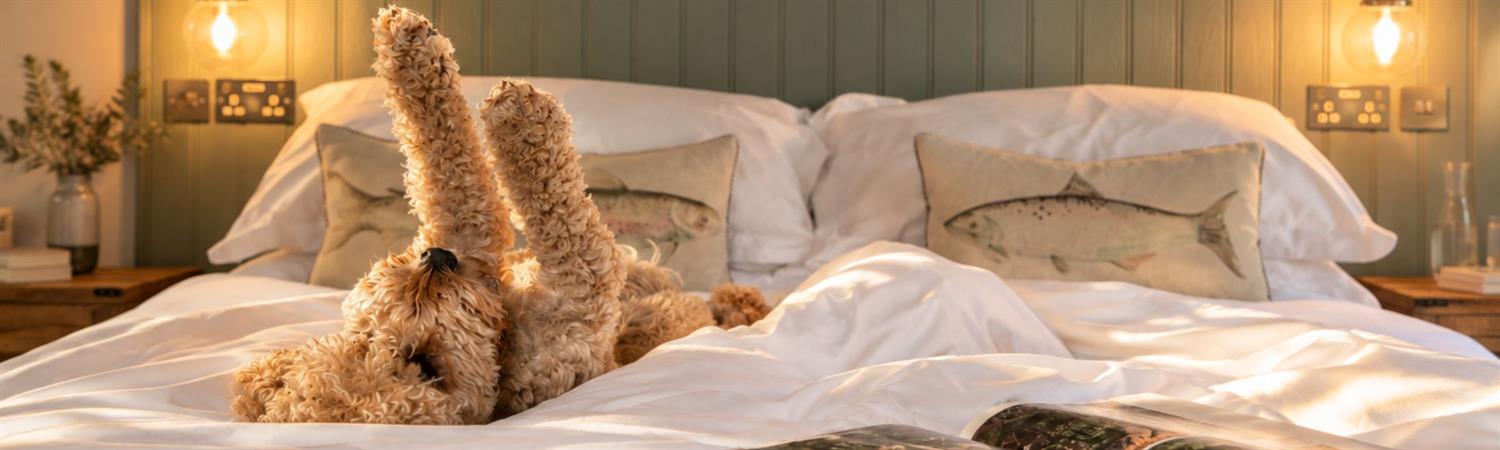 Cute dog stretching in hotel bed