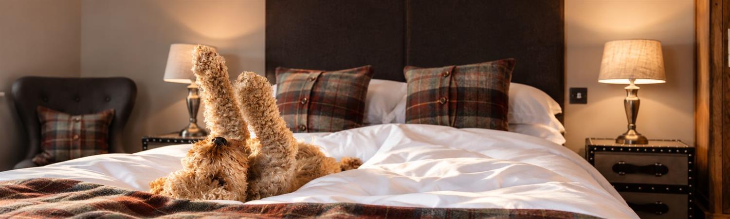 Cute dog stretching in hotel bed