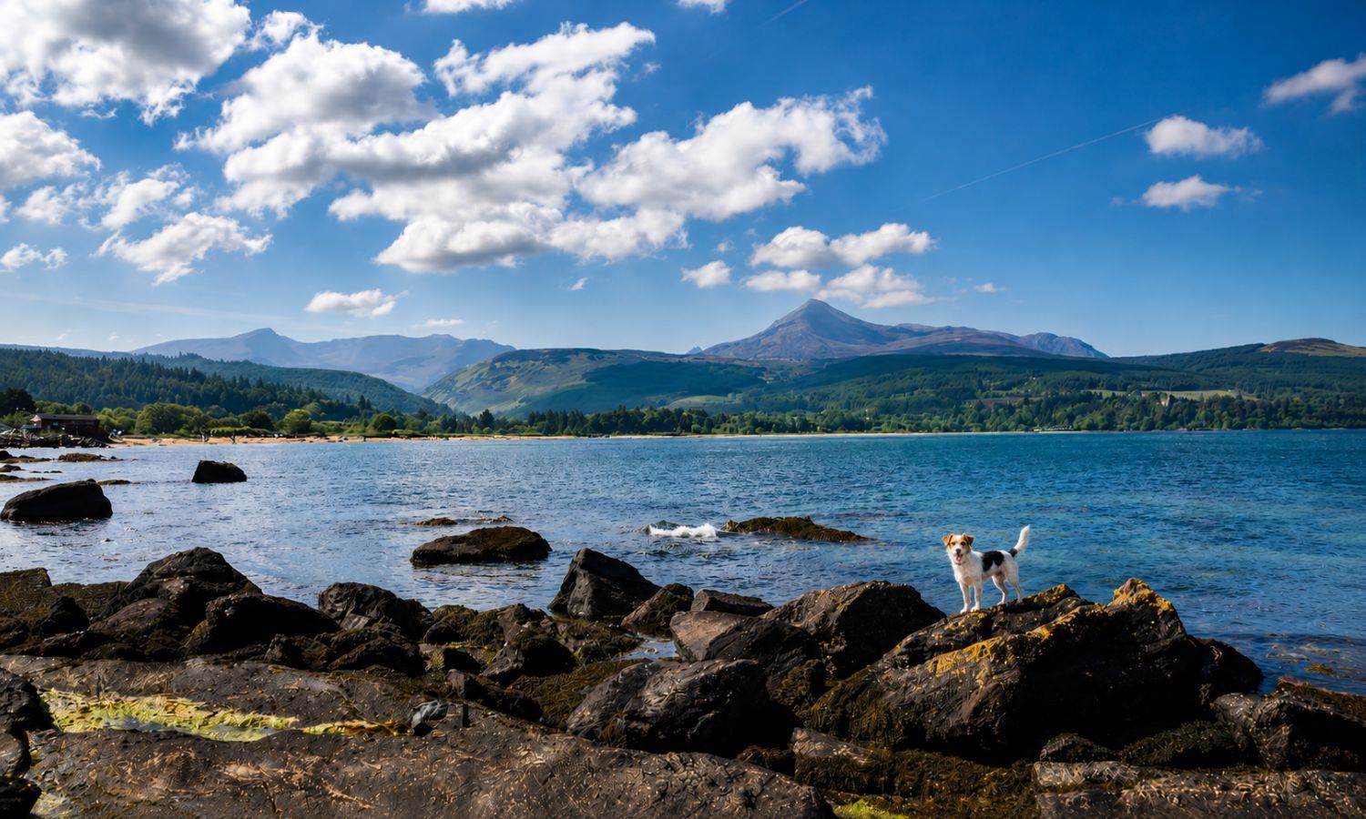 Small dog on rocks by the edge of the coast with ountains in the background