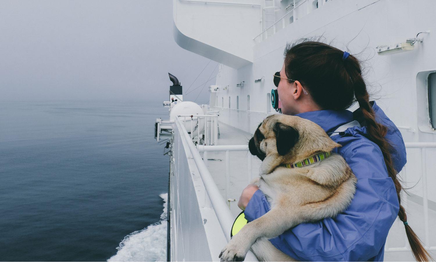 Pug dog being held by a lady on a ferry