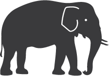 Elephant hotel elephant illustration