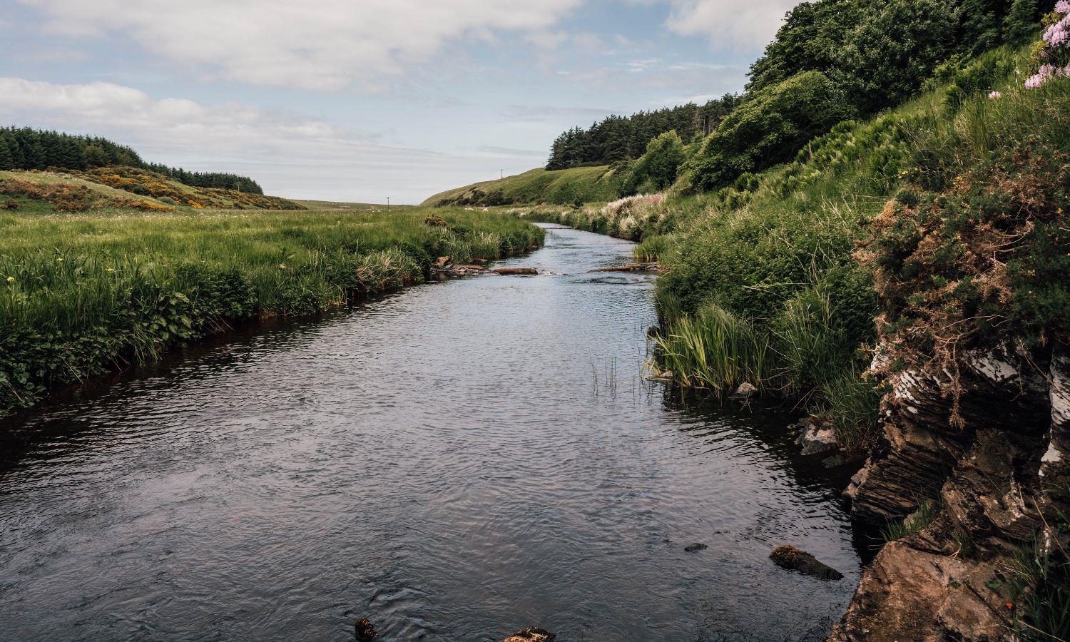 River Forss winding to the sea