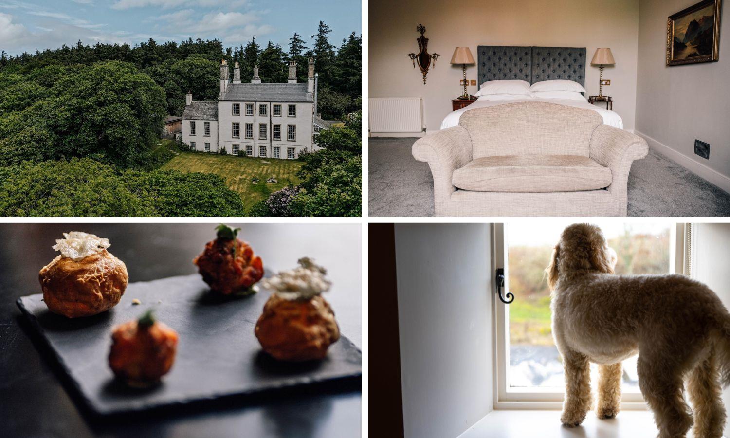Collage of four photos showing hotel exterior, hotel bedroom, petit fours, and dog