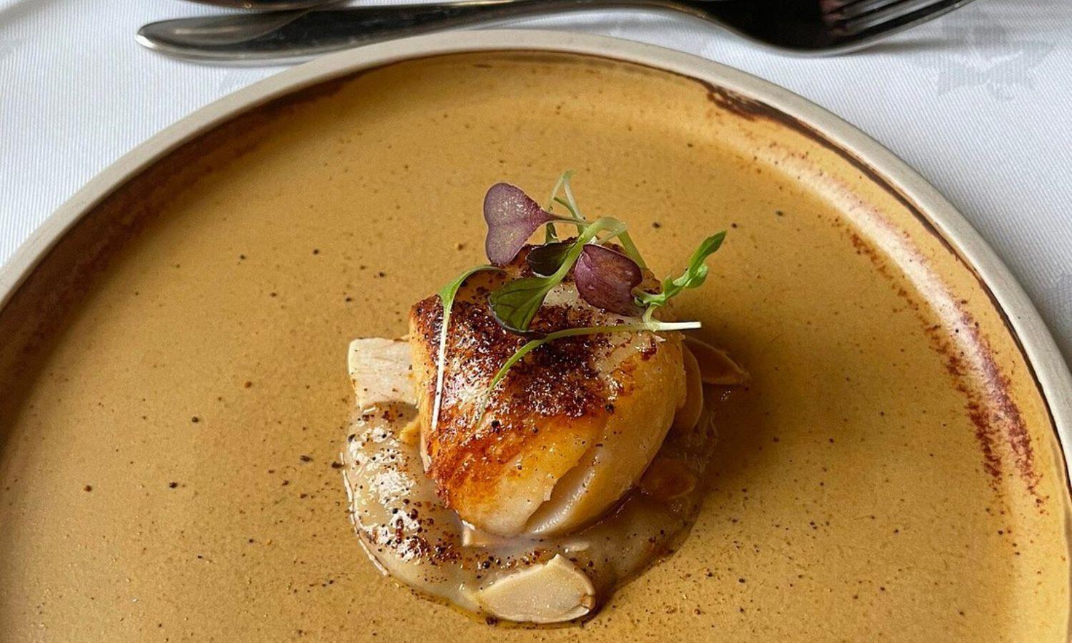 Single scallop served in fine dining style