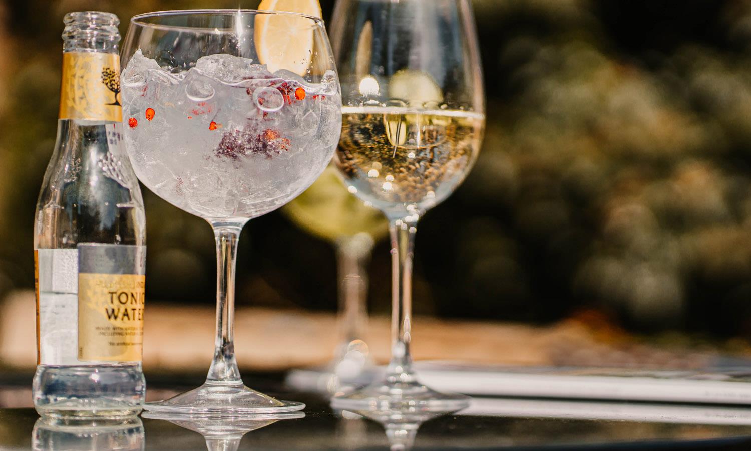 gin glasses on outdoor table with tonic bottle