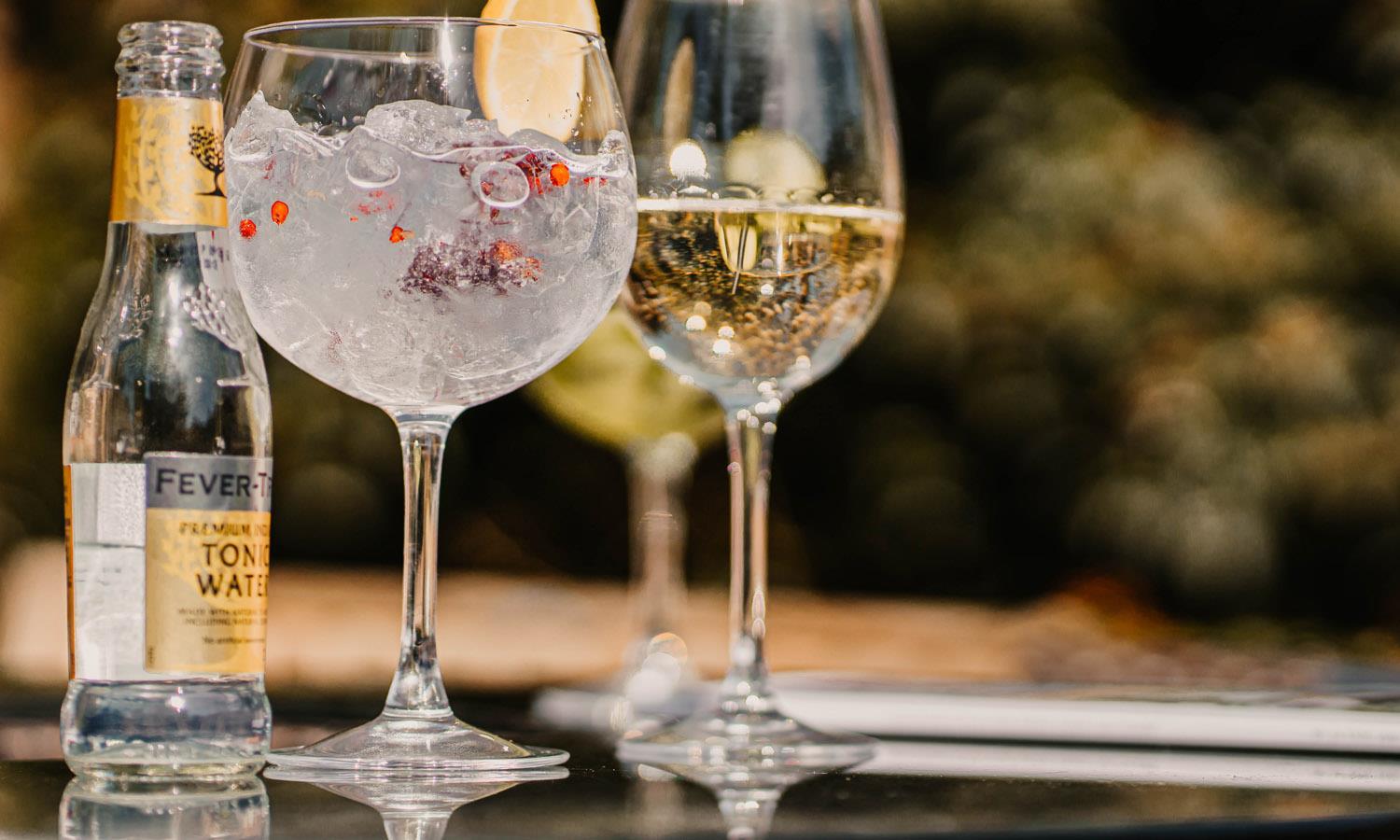 a goblet of gin with Fevertree tonic and a glass of wine 