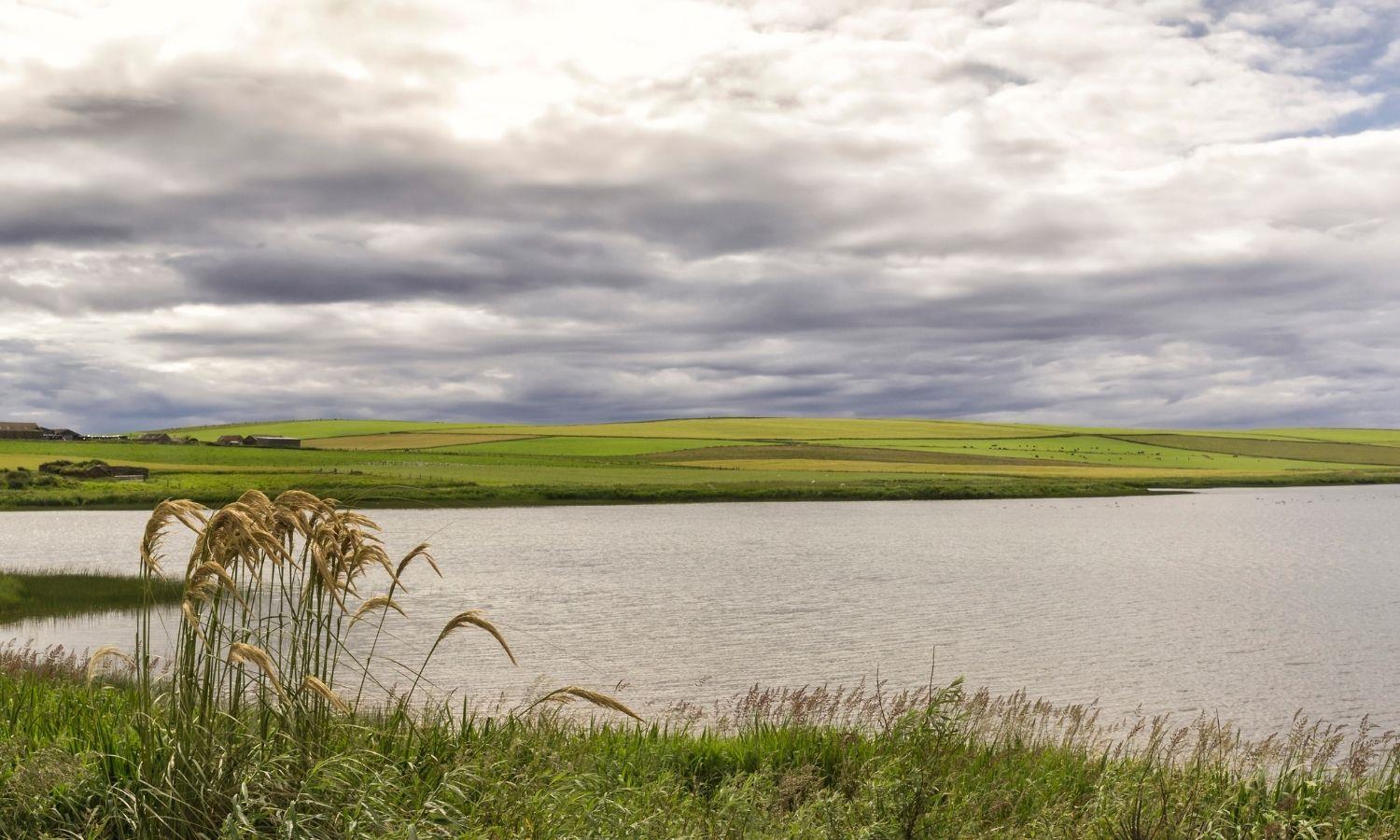 Typical Orkney landscape