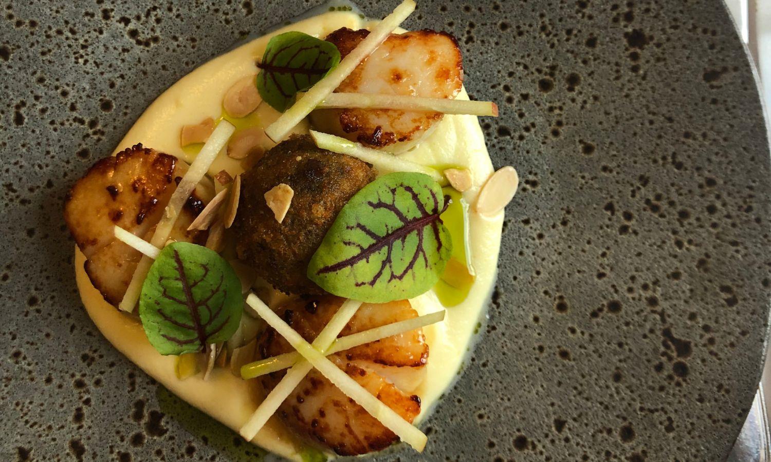 Scallops on cauliflower puree served in fine dining style