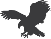 Shieldaig Lodge eagle ident