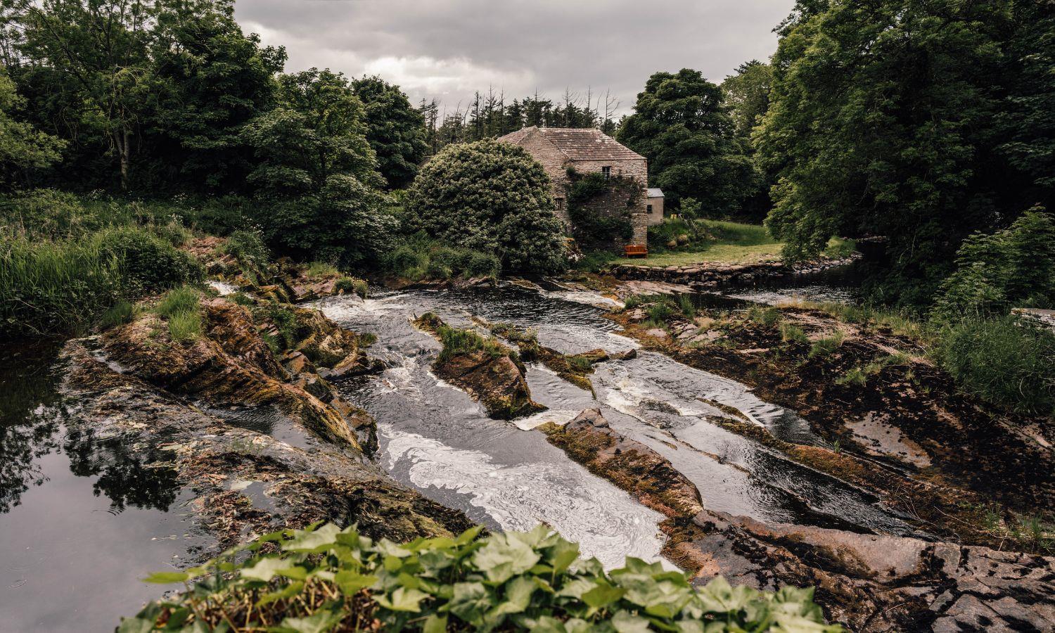 The River Forss