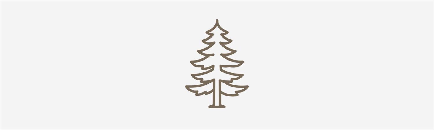 Tree illustration