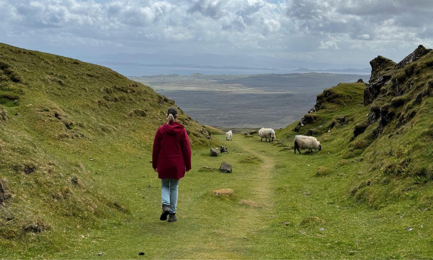 Walker exploring the Isle of Skye countryside with sheep and panoramic coastal views.