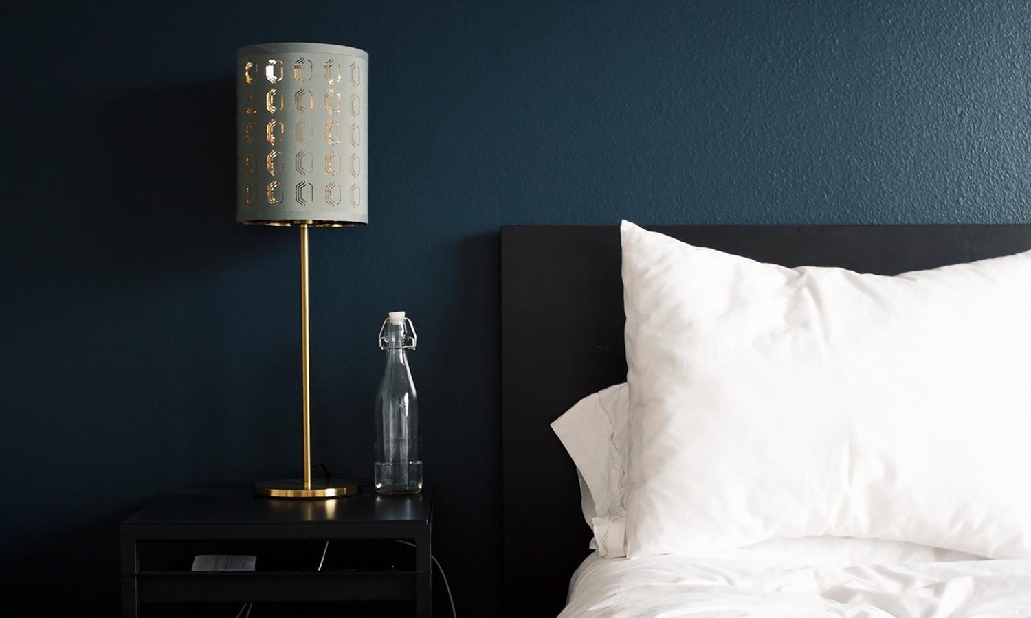 Classic Single  Room at Elephant Hotel