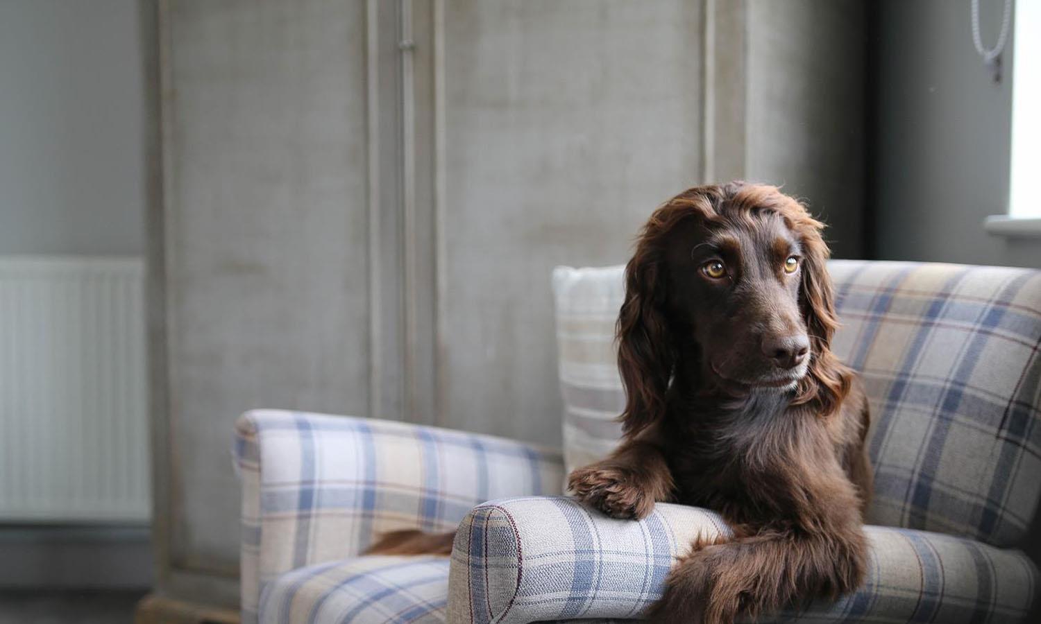 Ginny sat on a bar stool at Widbrook Grange Hotel