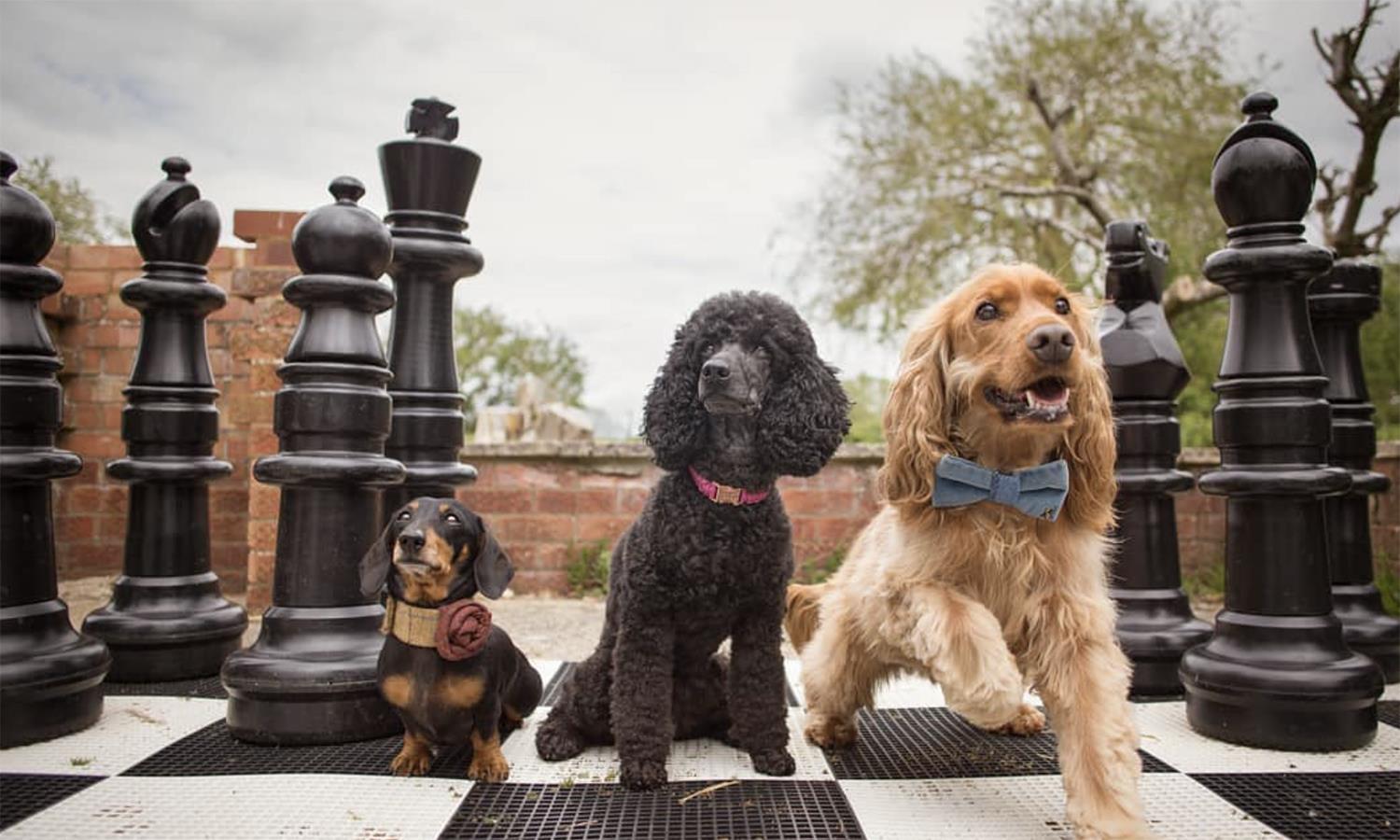 Ginny sat on a bar stool at Widbrook Grange