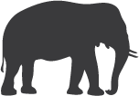 Elephant Hotel icon 