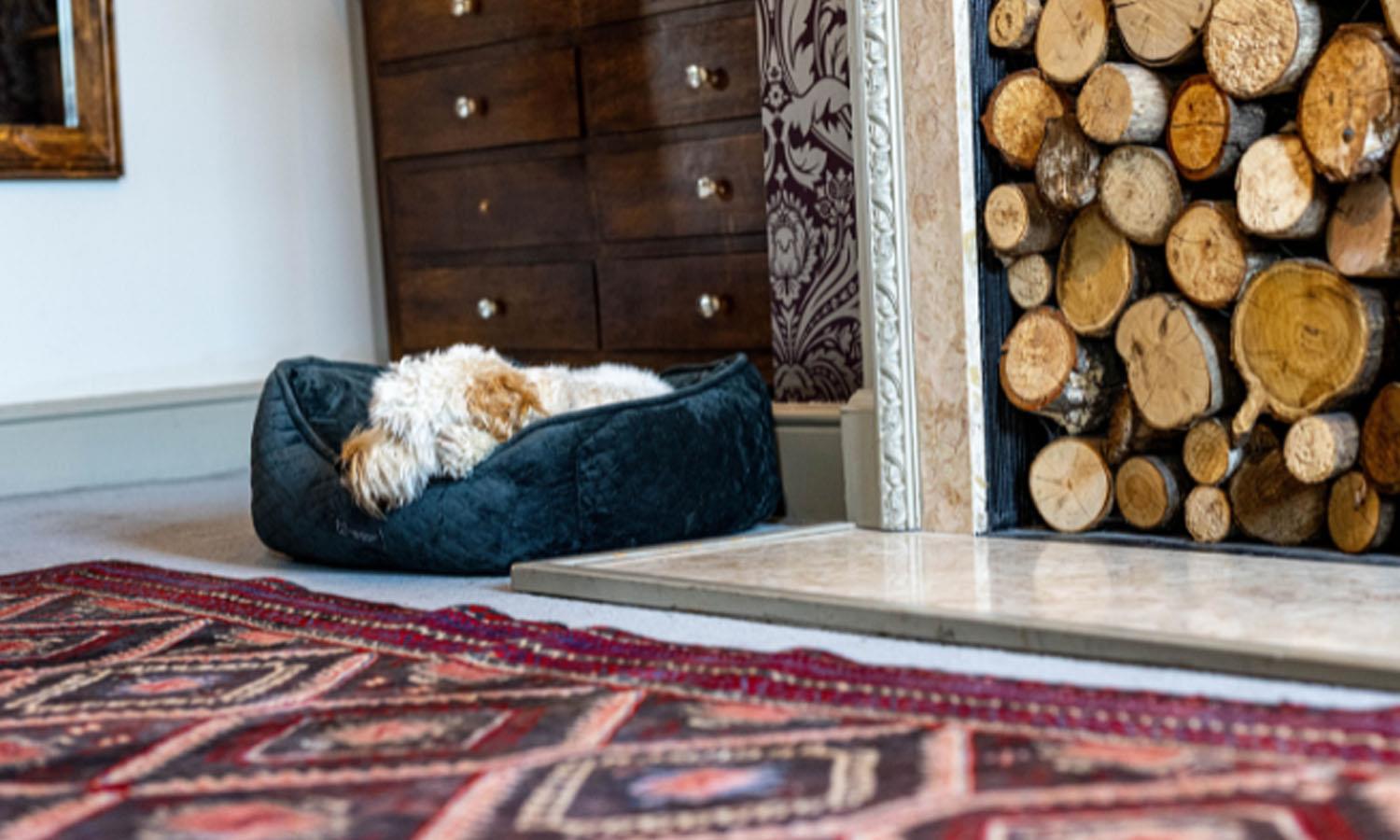 There's always a cosy spot for your pooch to bed down in