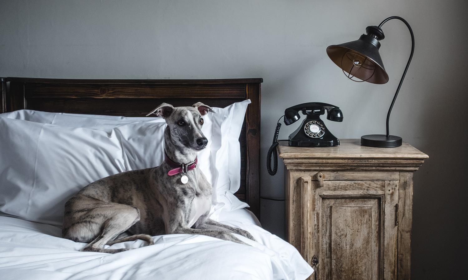 Ginny sat on a bar stool at Widbrook Grange