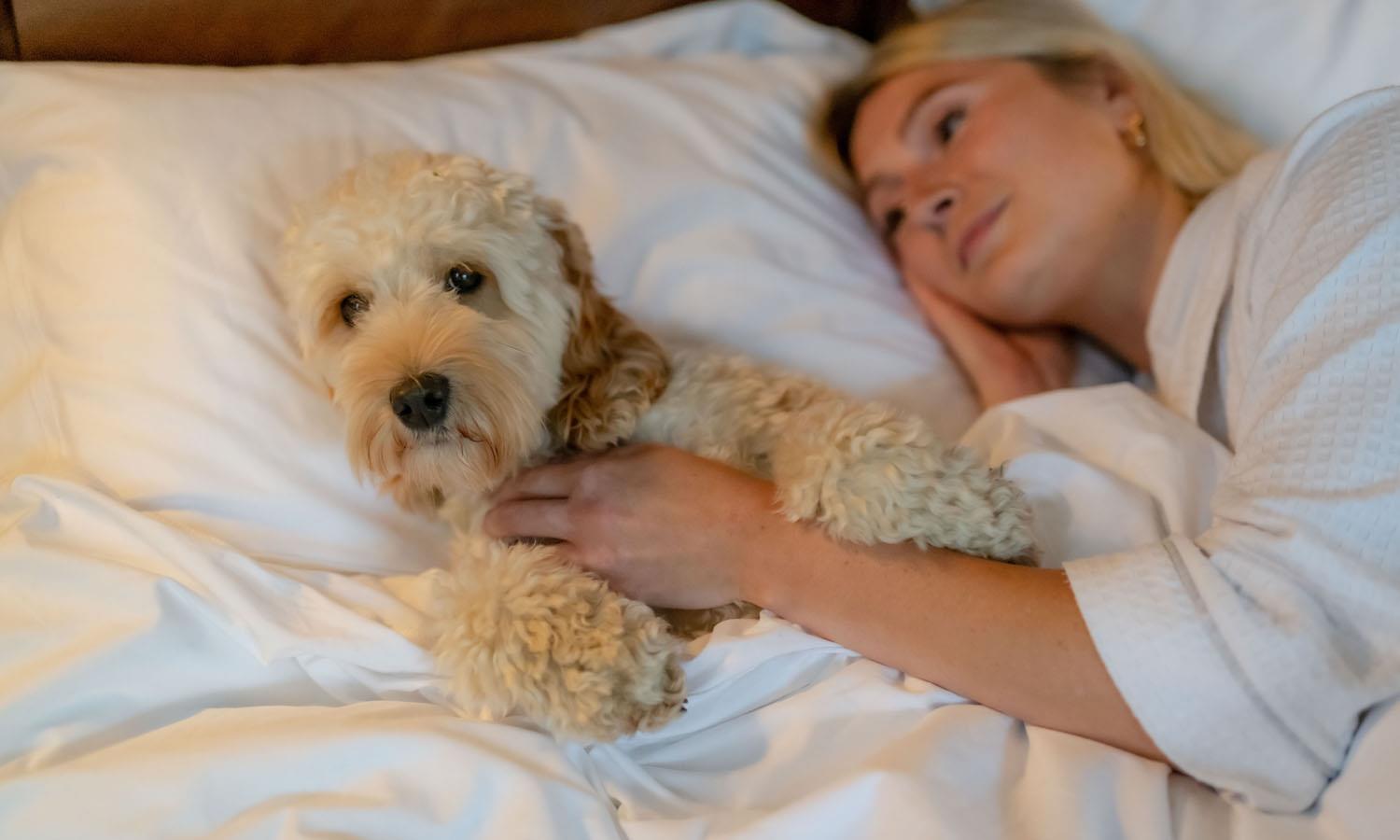 Dog on bed with woman at Melville Castle