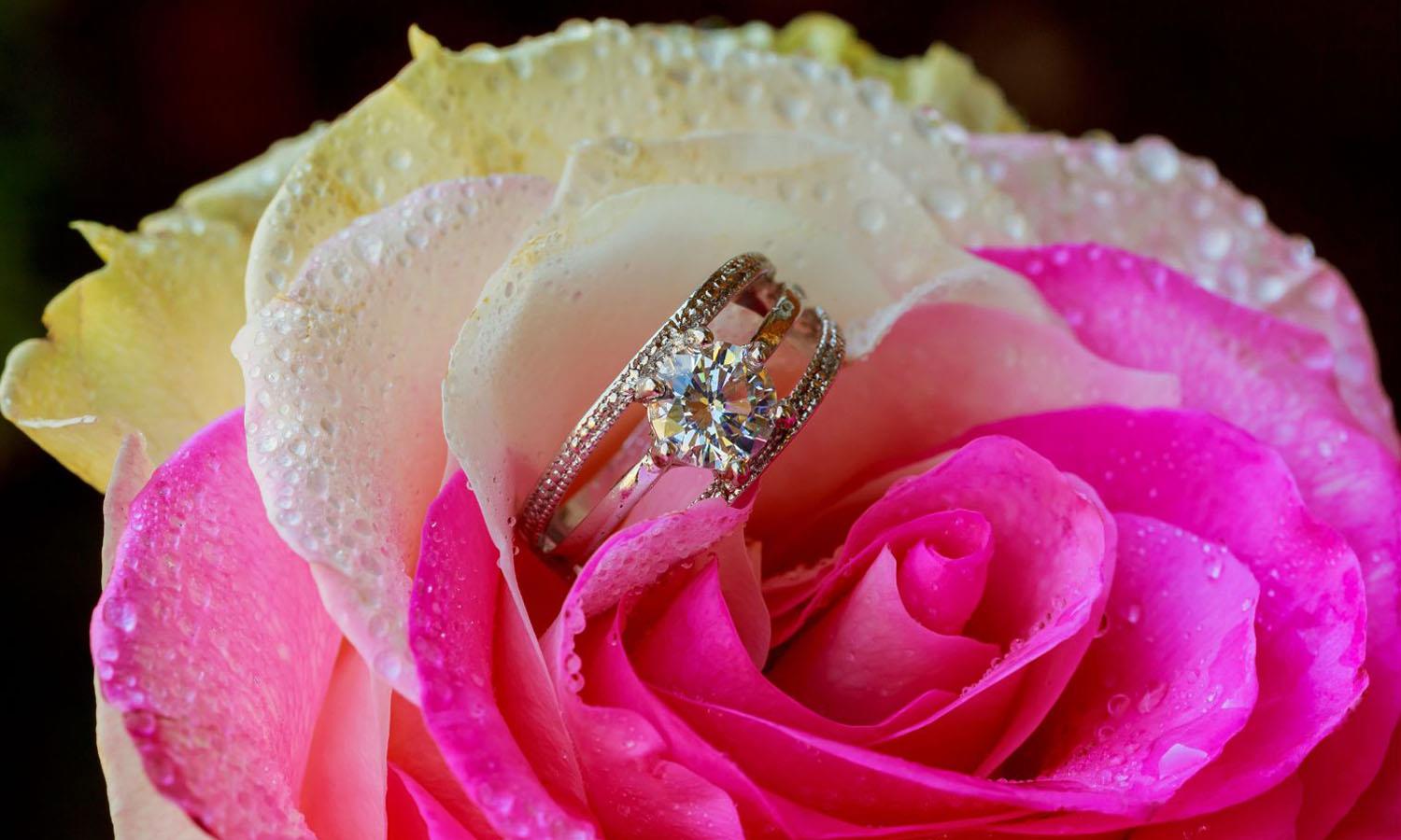Ring inside a pink, white and yellow rose
