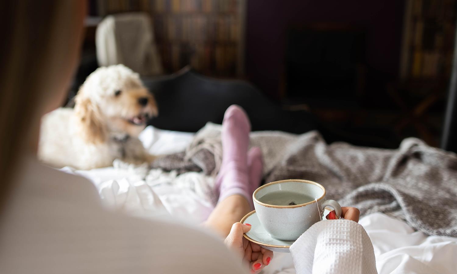 Woman lying on bed with dog at her feet